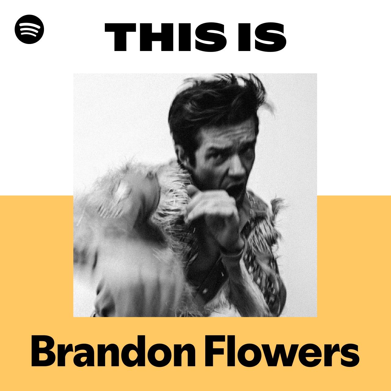 This Is Brandon Flowers
