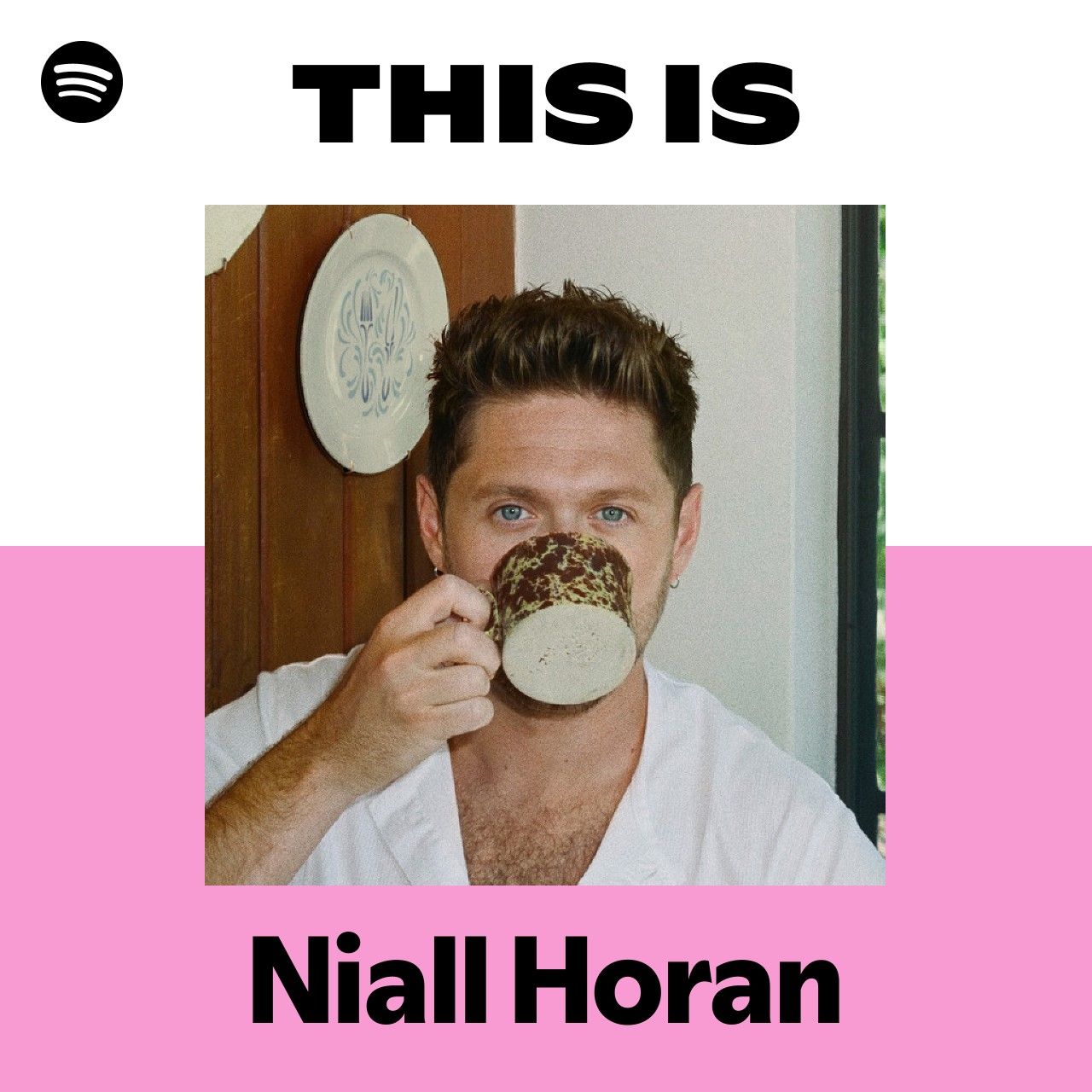 This Is Niall Horan