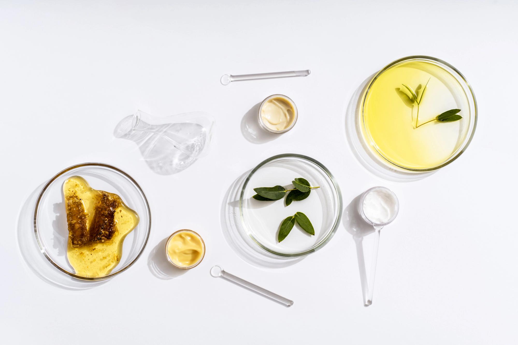 Various ingredients for skincare to protect the skin from UV rays and pollution