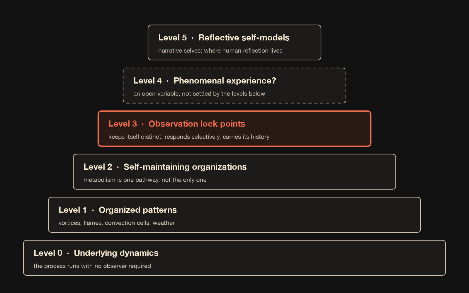 Six stacked boxes, each narrower than the one below: Level 0 underlying dynamics, Level 1 organized patterns, Level 2 self-maintaining organizations, Level 3 observation lock points highlighted in coral, Level 4 phenomenal experience drawn dashed with a question mark, Level 5 reflective self-models.