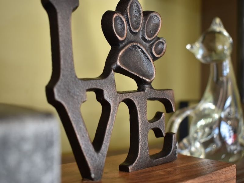Community Animal Clinic