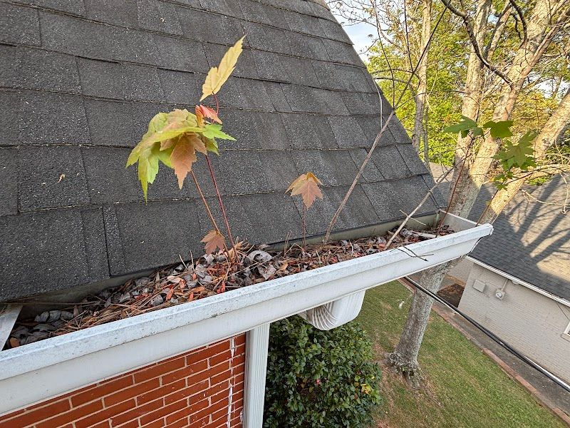 The Life Home Services Gutter Cleaning