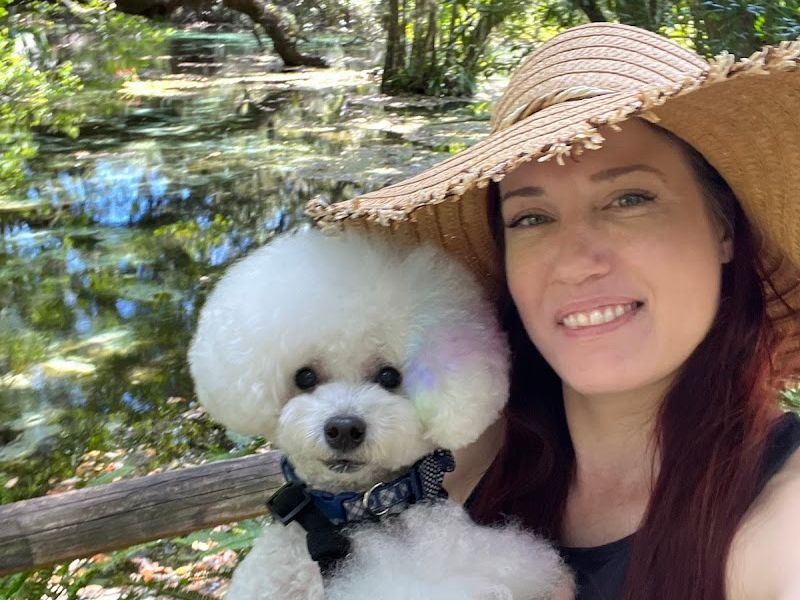 Lapdogs Of Luxury