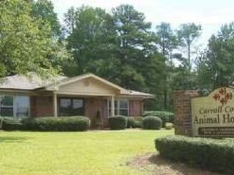 Carroll County Animal Hospital - Columbia Drive