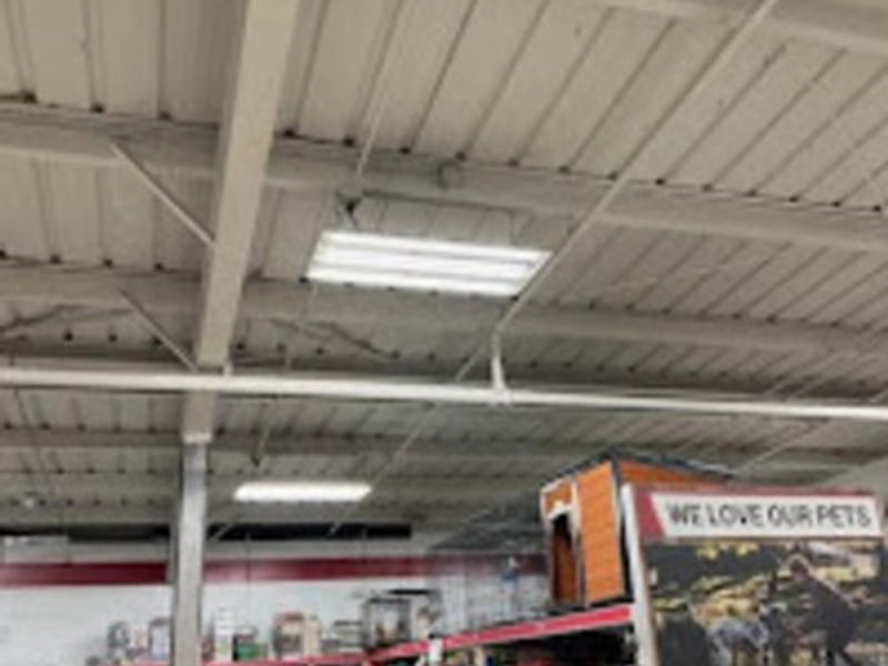Shocking Electric Solutions, Inc.