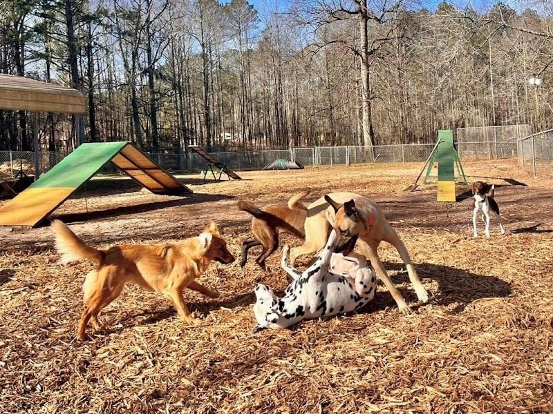 Water Dog Kennels