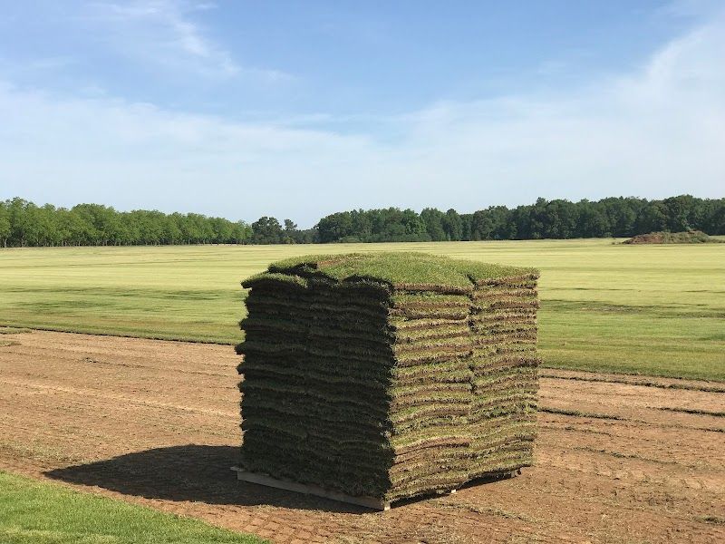 NG Turf