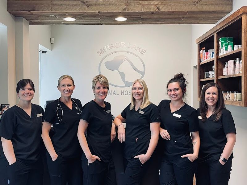 Mirror Lake Animal Hospital
