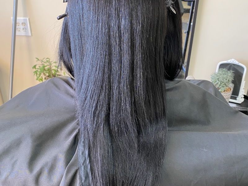 Painted Lady Salon Douglasville
