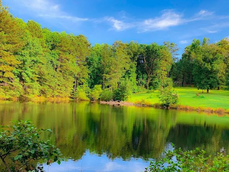 TWIN PONDS ESCAPE
