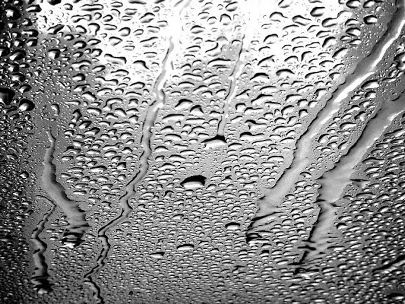 Harry T's Car Wash & Lube