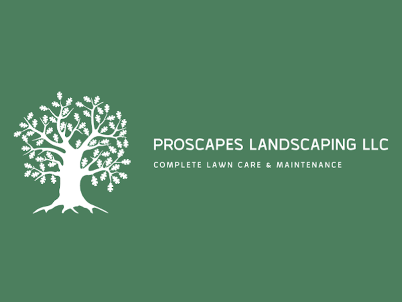 Proscapeslandscapingllc