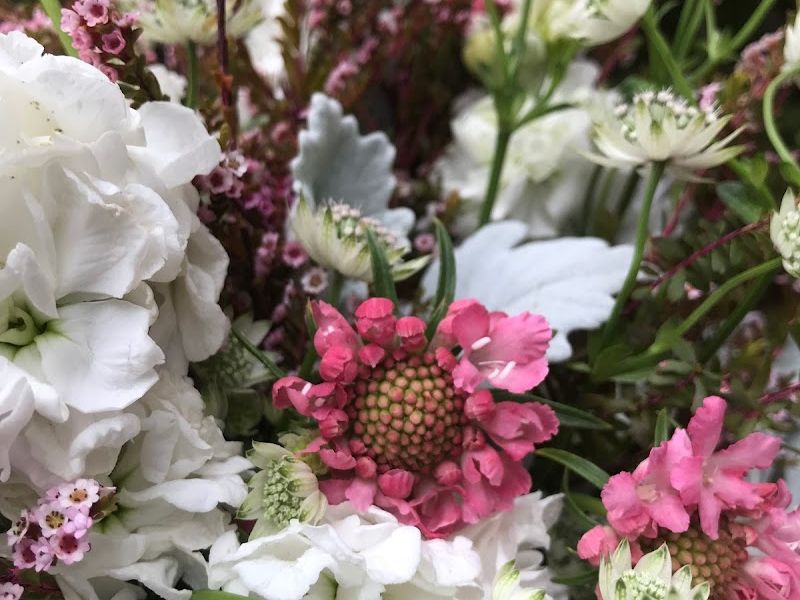 Le Fleur Blanc