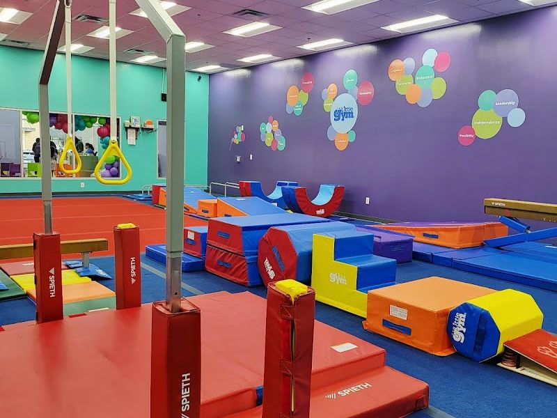 The Little Gym of Newnan