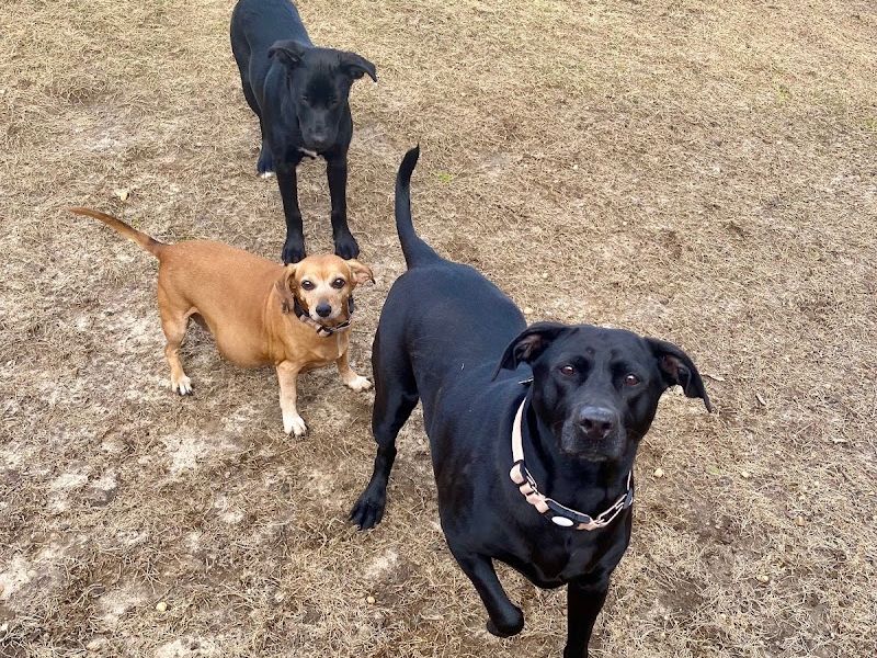 Pet Sitters of West Georgia