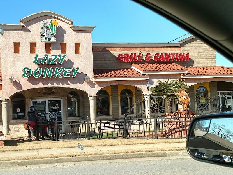 The Lazy Donkey