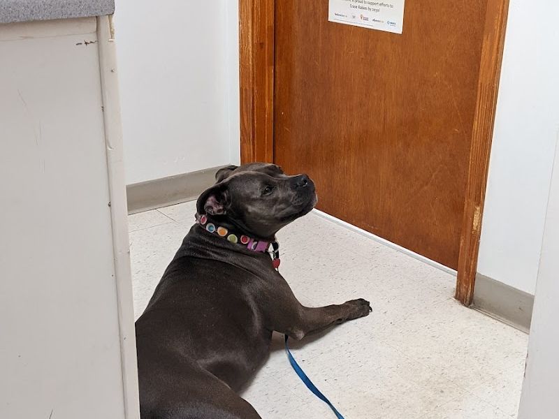 West Cobb Veterinary Clinic