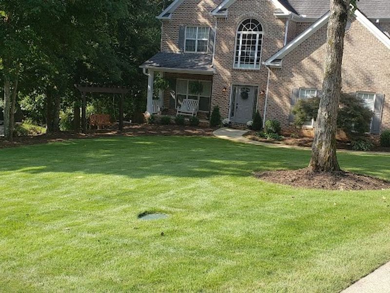 Mow-Town Hustler Lawn Service
