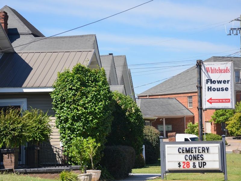 Whitehead's Florist and Gifts