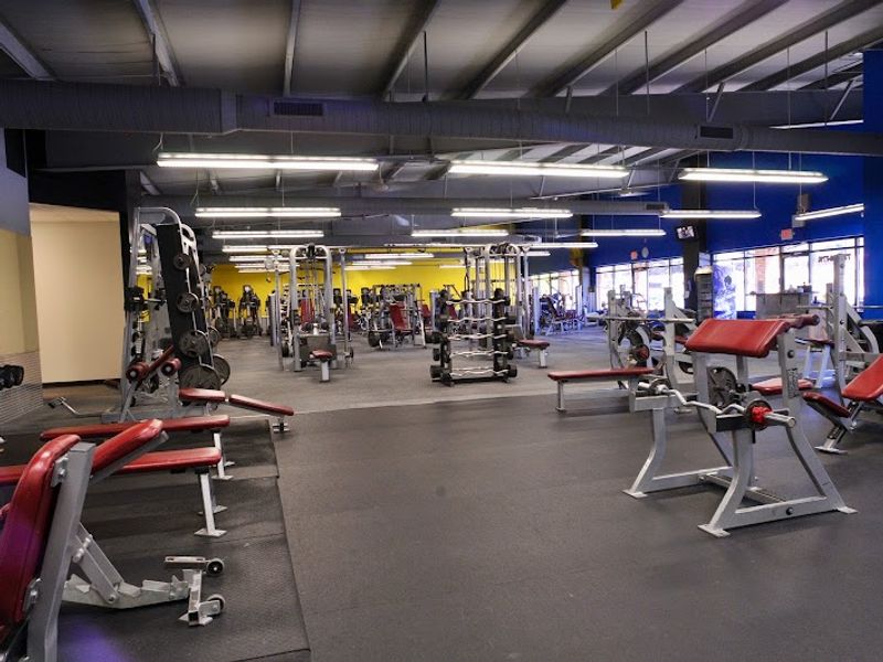 The Local Gym