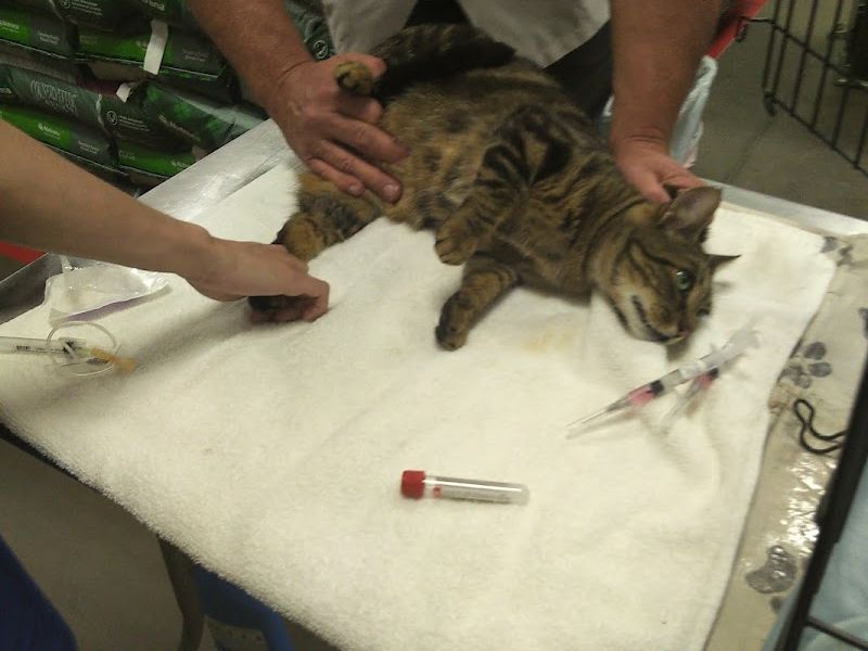 ProtectMyPet Vaccinations Clinic at Tractor Supply Co.