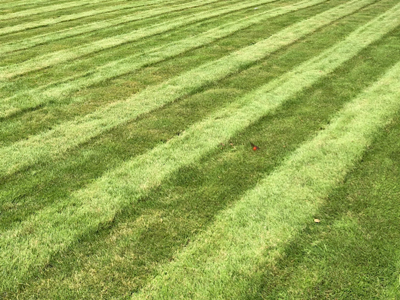 Supreme Lawn Care