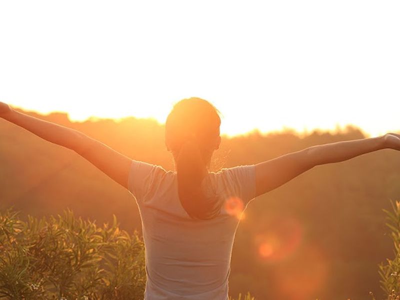 Absolute Health Chiropractic, Inc.