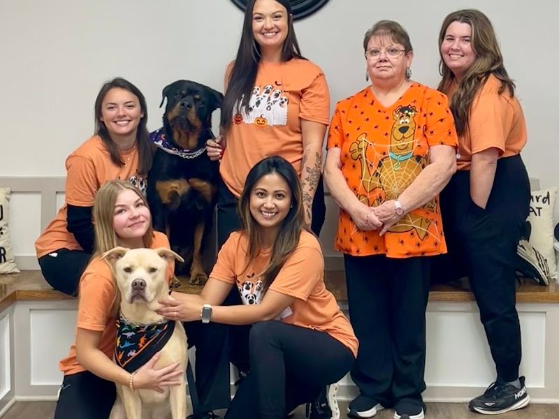 Paulding Animal Clinic