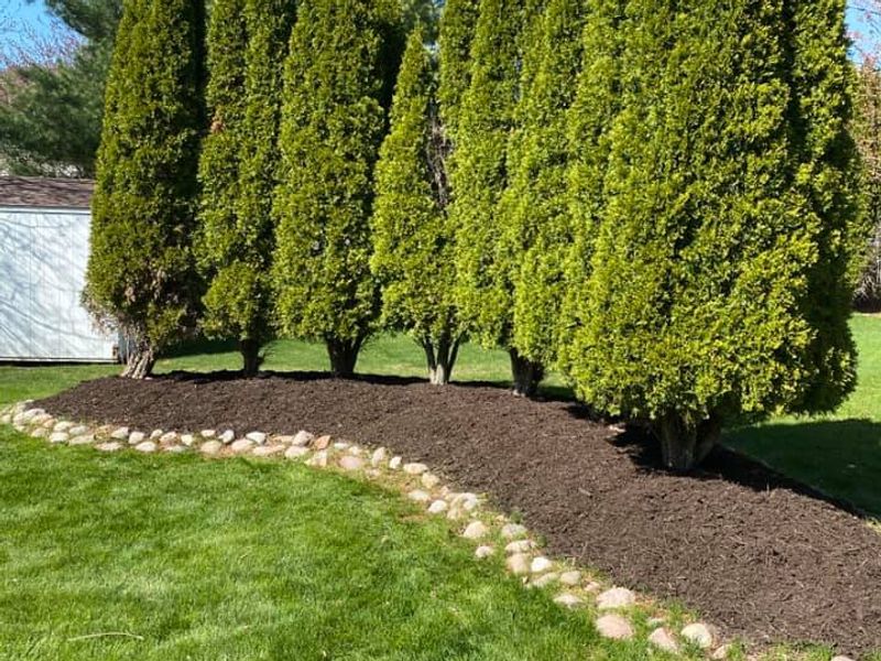 Elites Lawn Care