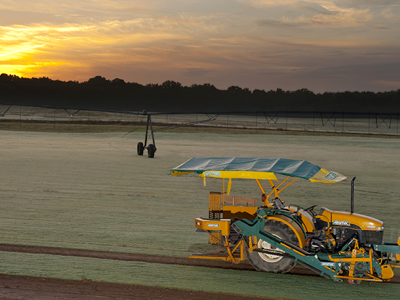 Harman Turf Farms