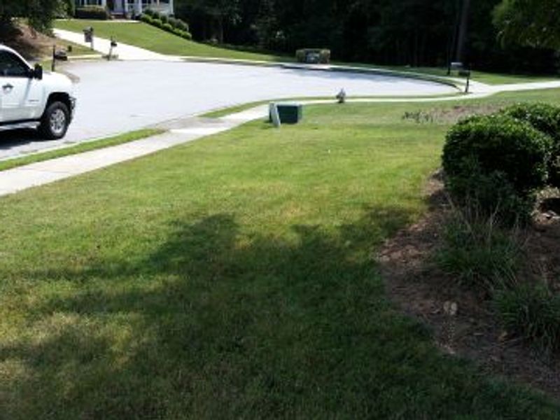 We Care Lawn Maintenance, LLC