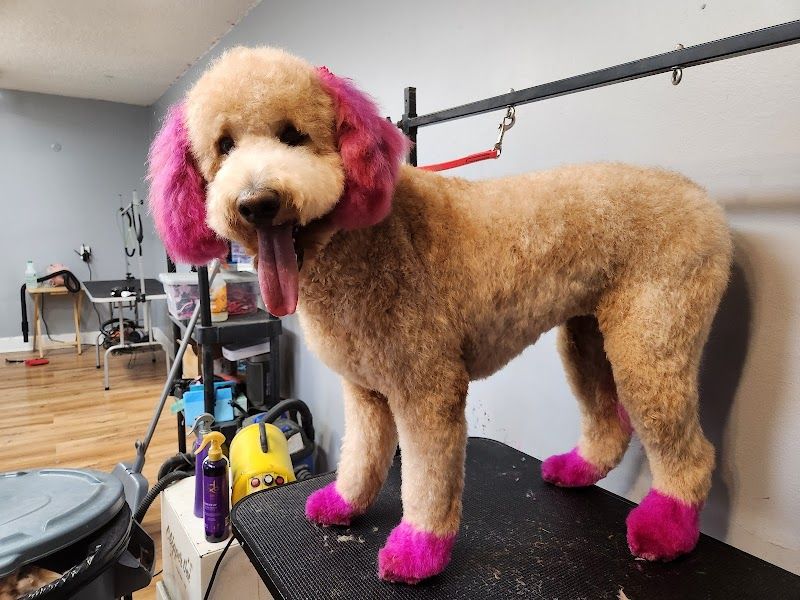 V.I.P. GROOMING