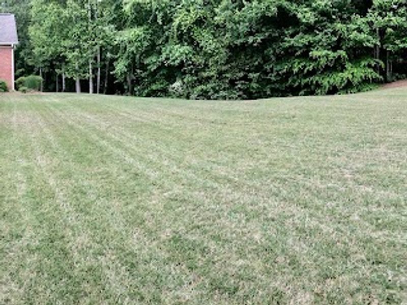 Muse Landscaping & Grading