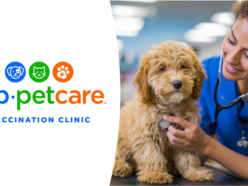 VIP Petcare Vaccination Clinic