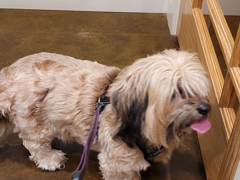 Price Creek Animal Hospital