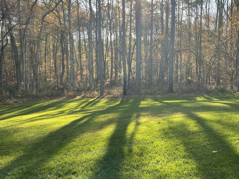 Wynn's Intensive Lawn Care