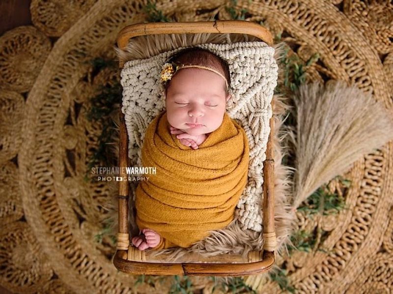 Stephanie Warmoth Photography