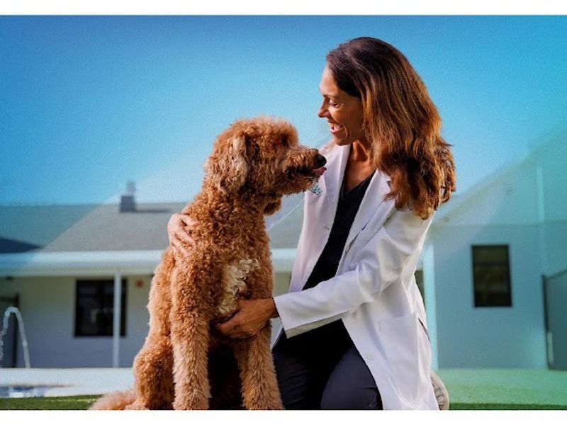 NewDay Veterinary Care Peachtree City