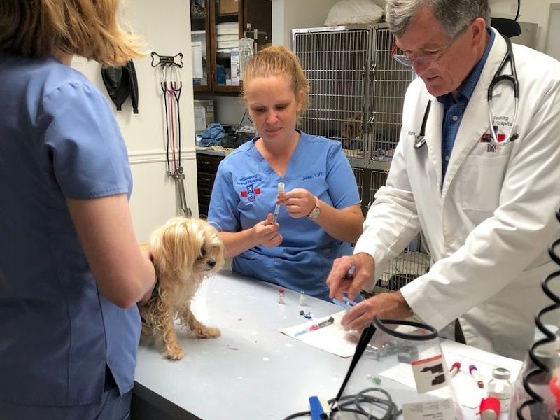 Whitesburg Animal Hospital