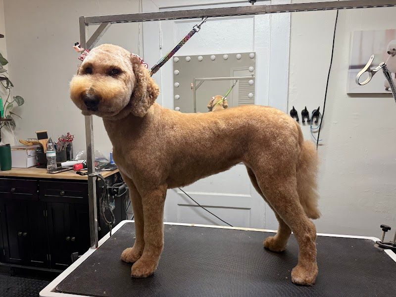 The Grooming Studio