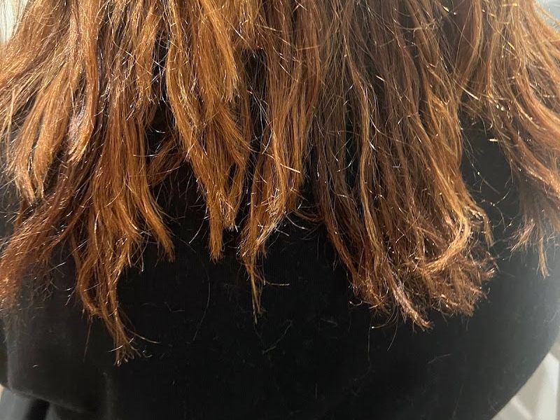 Twisted Scissors Hair Company
