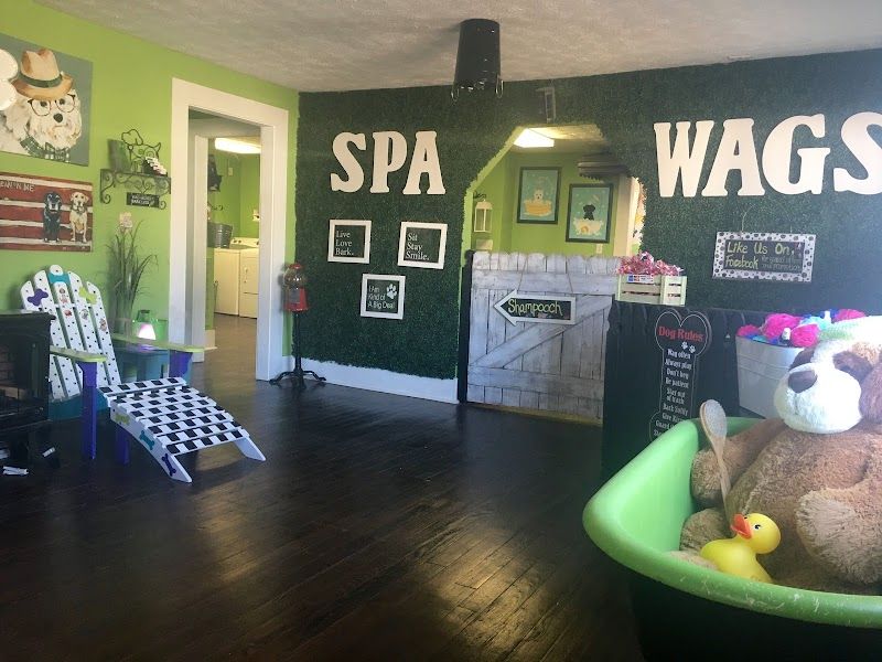 Spa Wags