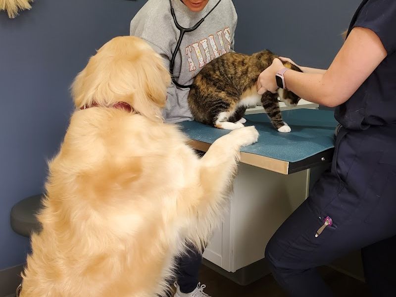 Tillis Animal Hospital