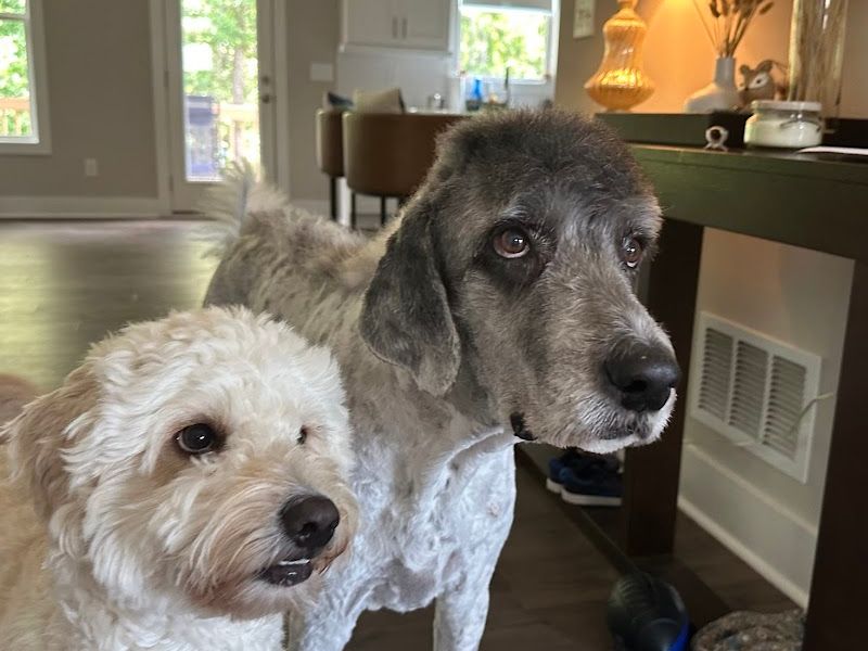 Pretty Paws Pet Spa, LLC