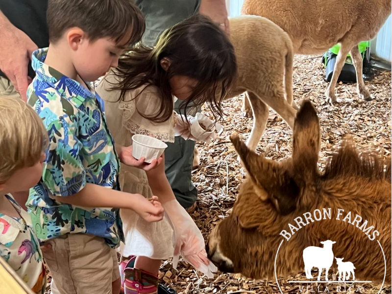 Barron Farms