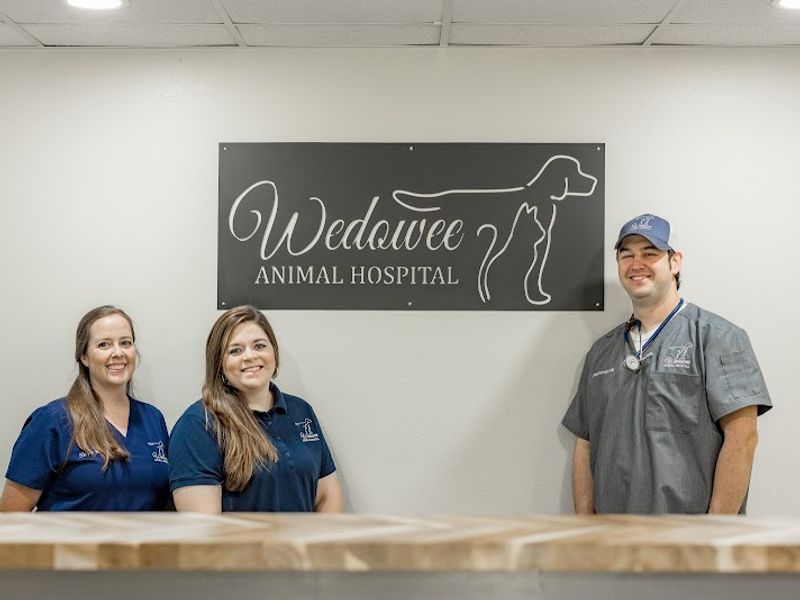 Wedowee Animal Hospital