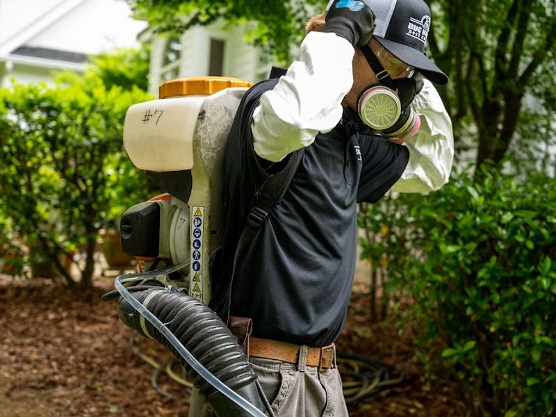 Bug House Pest Control - Carrollton