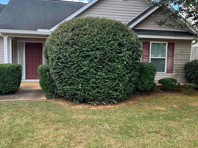 LawnStarter - Dallas, GA Landscaping