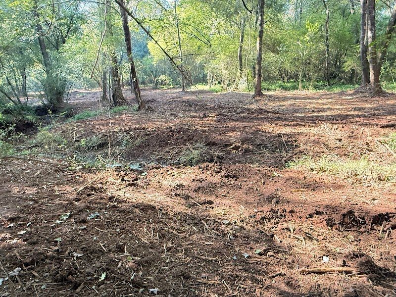 Dynamic Dirt Works and Land Management