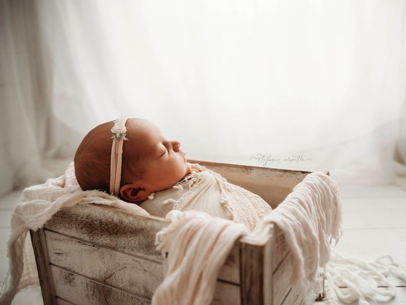 Stefanie Arnette Photography